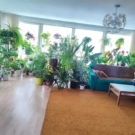 оазис * Йиловиште