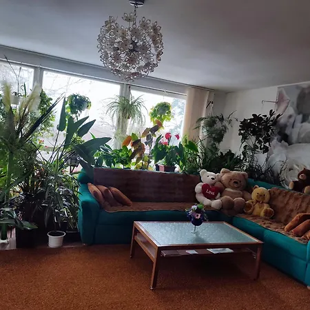 оазис Apartment