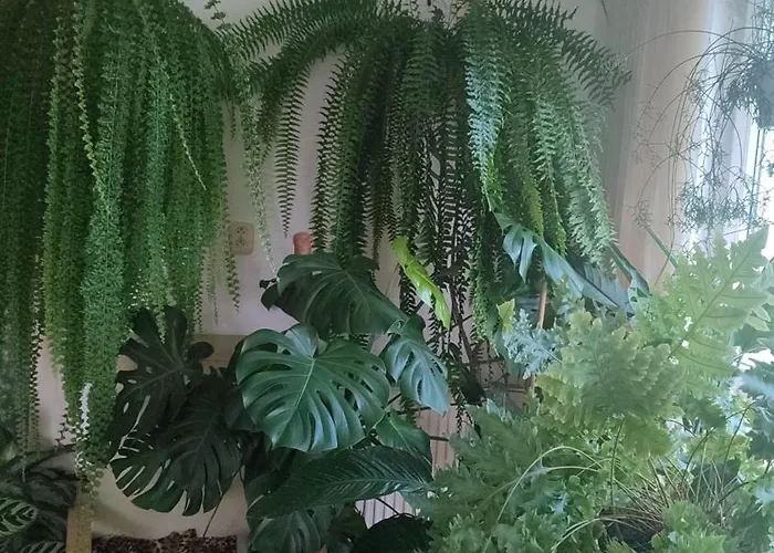 Апартаменты оазис