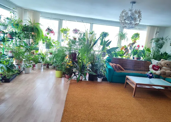 оазис * Йиловиште