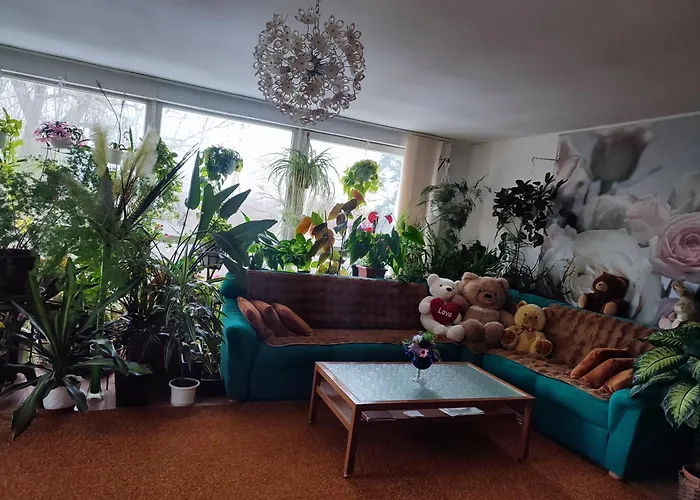 оазис Apartment